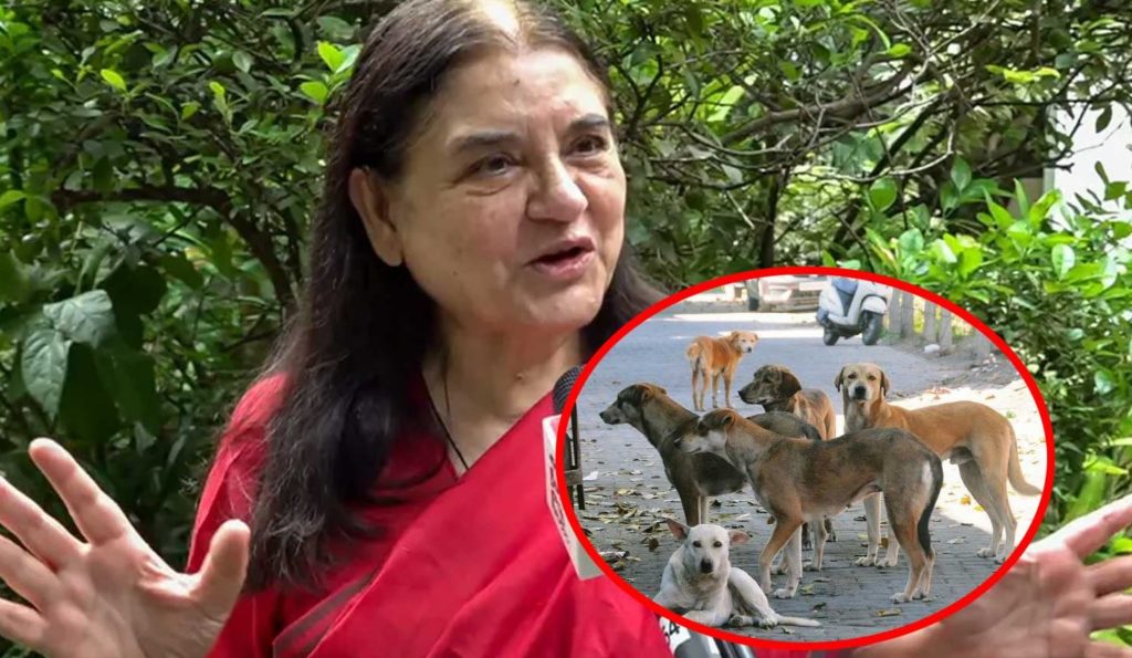 டெல்லியில் தெரு நாய்களை அகற்ற உத்தரவு
